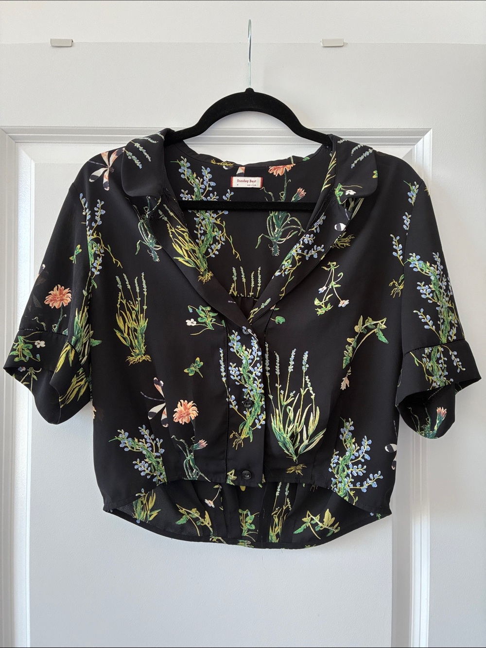 Aritzia Sunday Best Size M Floral Short-Sleeve Collared Blouse